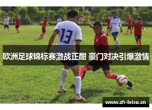 欧洲足球锦标赛激战正酣 豪门对决引爆激情