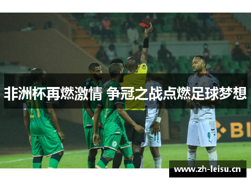 非洲杯再燃激情 争冠之战点燃足球梦想