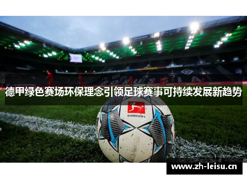 德甲绿色赛场环保理念引领足球赛事可持续发展新趋势