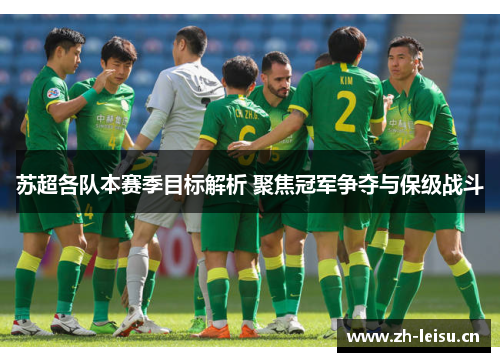 苏超各队本赛季目标解析 聚焦冠军争夺与保级战斗